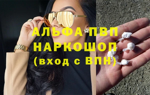 крисы Алзамай