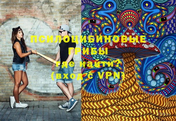 ешки Алексеевка