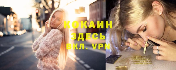 крисы Алзамай
